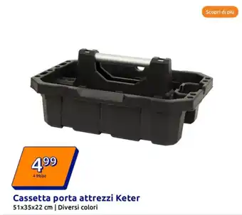 Action Cassetta porta attrezzi Keter offerta