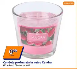 Action Candela profumata in vetro Candra offerta