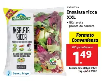 Lidl Vallericca Insalata ricca XXL offerta