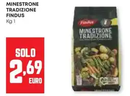 Pam Minestrone tradizione FINDUS offerta