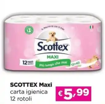 Acqua & Sapone SCOTTEX Maxi carta igienica offerta