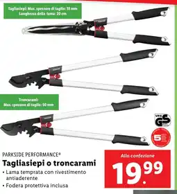 Lidl PARKSIDE PERFORMANCE Tagliasiepi o troncarami offerta