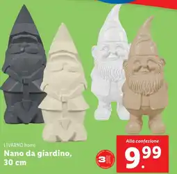 Lidl LIVARNO home Nano da giardino, 30 cm offerta