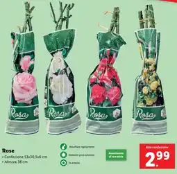 Lidl Rose offerta