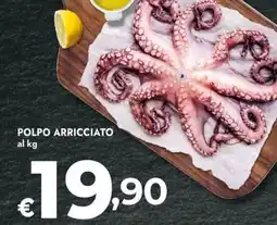Bennet Polpo arricciato offerta