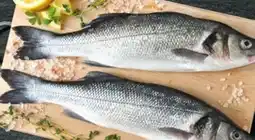 Bennet Branzino cromaris offerta