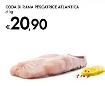 Bennet Coda di rana pescatrice atlantica offerta