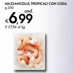 Bennet Mazzancolle tropicali con coda offerta