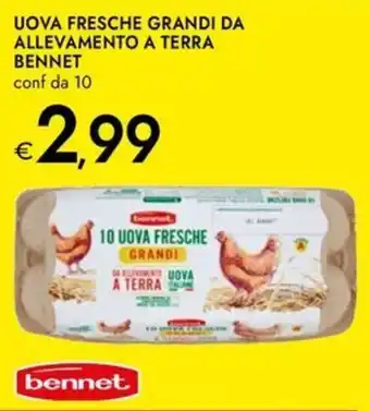 Bennet Uova fresche grandi da allevamento a terra  BENNET offerta