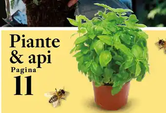 Extracoop Piante & Api offerta