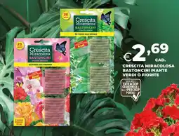 Extracoop Crescita miracolosa bastoncini piante VERDI O FIORITE offerta