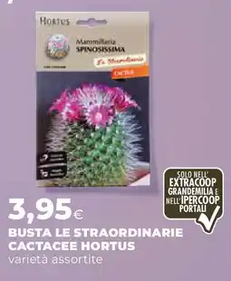 Extracoop Busta le straordinarie CACTACEE HORTUS offerta