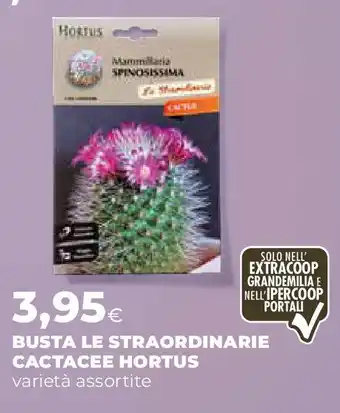 Extracoop Busta le straordinarie CACTACEE HORTUS offerta