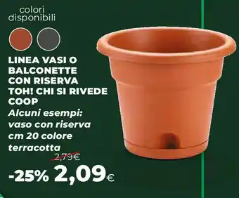 Extracoop Linea vasi o balconette con riserva toh! chi si rivede COOP offerta