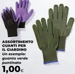 Extracoop Assortimento guanti per il giardino offerta