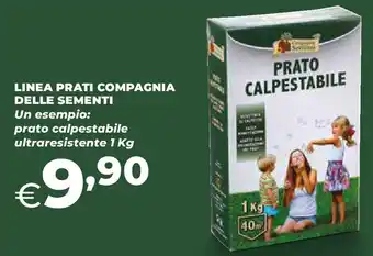 Extracoop Linea prati compagnia DELLE DELLE SEMENTI offerta