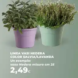 Extracoop Linea vasi hedera color salvia/lavanda offerta