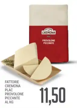 Supermercati Piccolo Fattorie cremona plac provolone piccante offerta