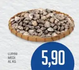 Supermercati Piccolo Lupini medi offerta