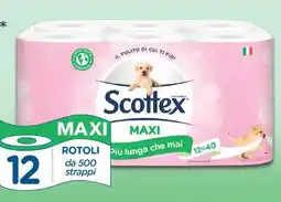 Acqua & Sapone Scottex maxi carta igienica 12 rotoli offerta