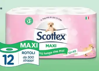 Acqua & Sapone Scottex maxi carta igienica 12 rotoli offerta