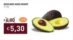 Prezzemolo e Vitale Avocado hass ready offerta