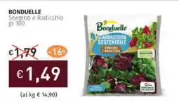 Prezzemolo e Vitale BONDUELLE Songino e Radicchio offerta