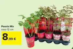 Carrefour Peonia Mix offerta