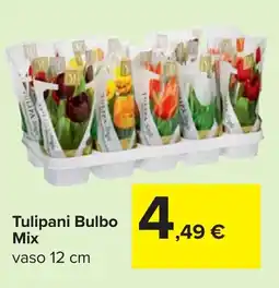 Carrefour Tulipani Bulbo Mix offerta