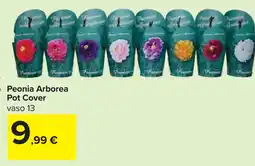 Carrefour Peonia Arborea Pot Cover offerta