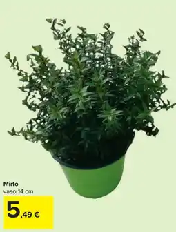 Carrefour Mirto offerta