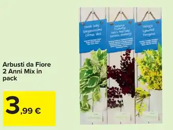 Carrefour Arbusti da Fiore 2 Anni Mix in pack offerta