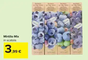 Carrefour Mirtillo Mix offerta