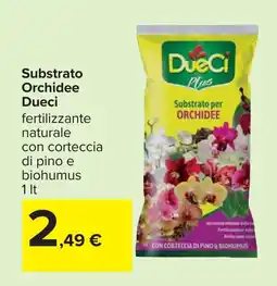 Carrefour Substrato Orchidee Dueci offerta