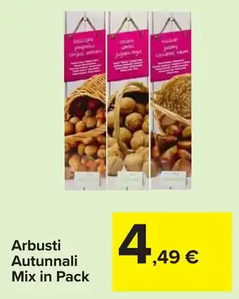 Carrefour Arbusti Autunnali Mix in Pack offerta