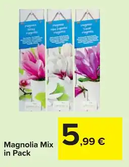 Carrefour Magnolia Mix in Pack offerta