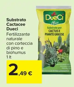 Carrefour Substrato Cactacee Dueci offerta