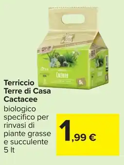 Carrefour Terriccio Terre di Casa Cactacee offerta