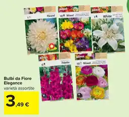 Carrefour Bulbi da Fiore Elegance offerta