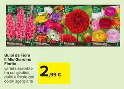 Carrefour Bulbi da Fiore Il Mio Giardino Fiorito offerta