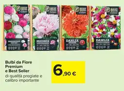 Carrefour Bulbi da Fiore Premium e Best Seller offerta