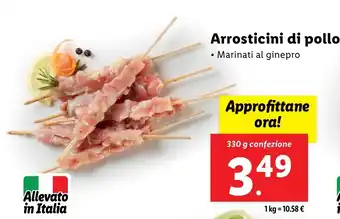 Lidl Arrosticini di pollo offerta