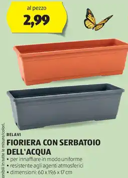 ALDI Belavi fioriera con serbatoio dell'acqua offerta