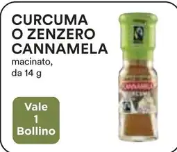 Coop Curcuma o zenzero cannamela macinato, da offerta