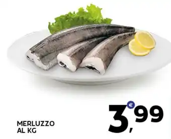 Extra Supermercati Merluzzo offerta