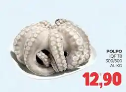Eté Polpo iqft8 300/500 al kg offerta