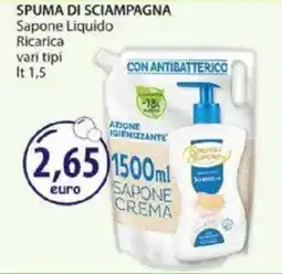 Acqua & Sapone SPUMA DI SCIAMPAGNA Sapone Liquido Ricarica vari tipi offerta