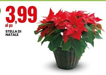 Eurospin Stella di natale offerta