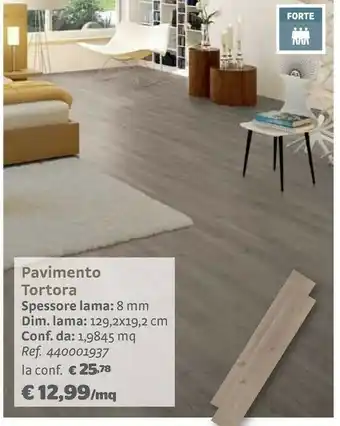 Tortora pavimento