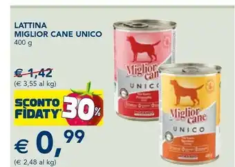 Miglior cane lattina